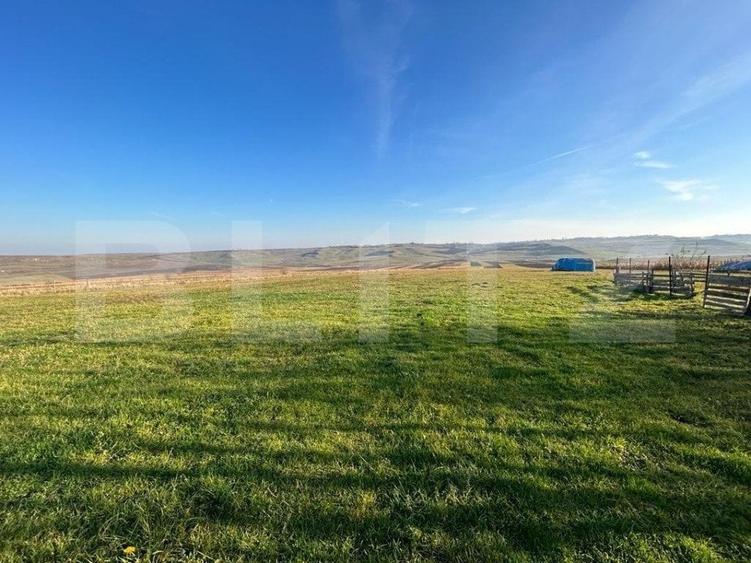 Teren Construcții intravilan de 13000 mp, în Lucăcești