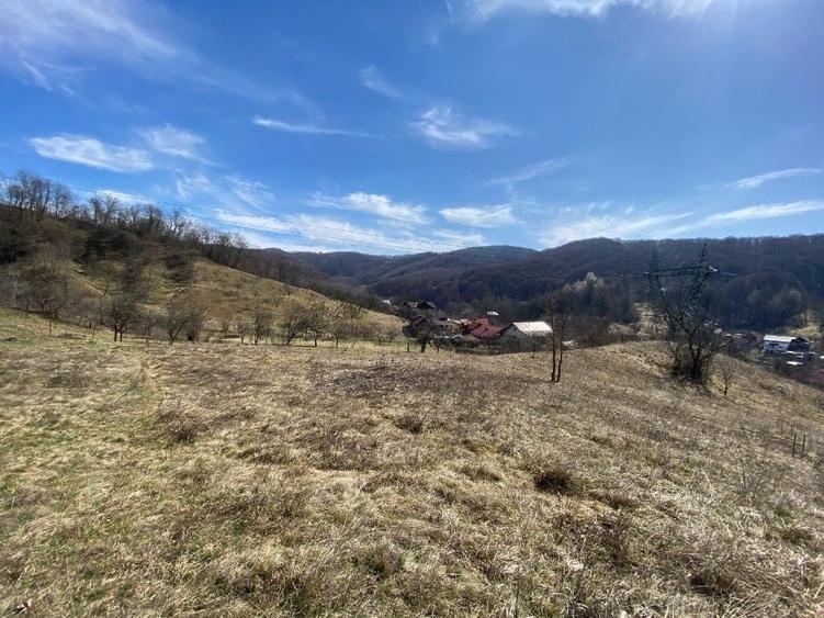 Teren intravilan de 4134 mp, în Central
