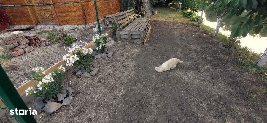 Apartament cu 3 camere în Traian