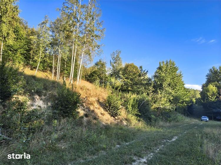 Teren intravilan de vanzare in padure Cisnadioara - 9