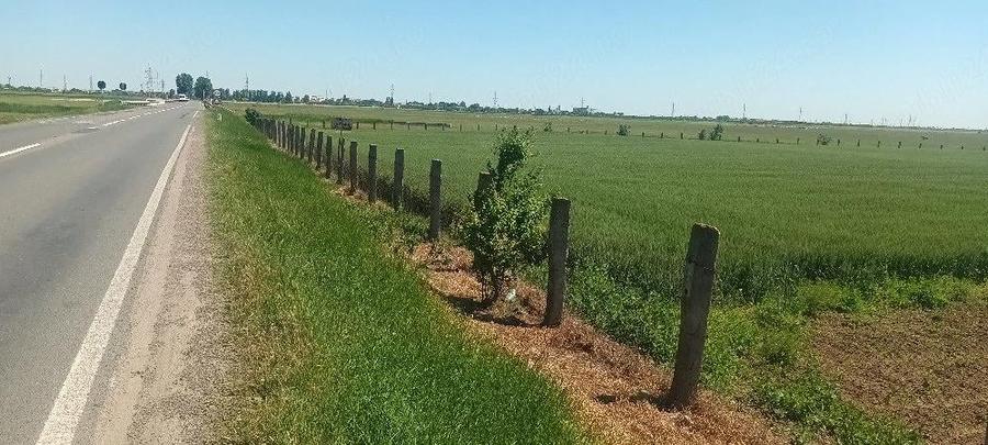 Teren de 16600 mp, în Surdila-Greci