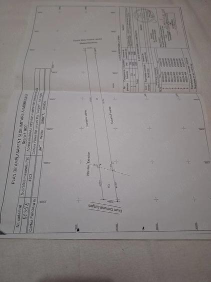 Teren de 4300 mp, în Vedea