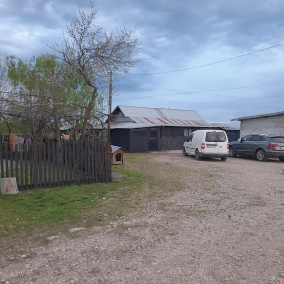 Teren agricol intravilan de 5 mp, în Ciuperceni (Cosmești)