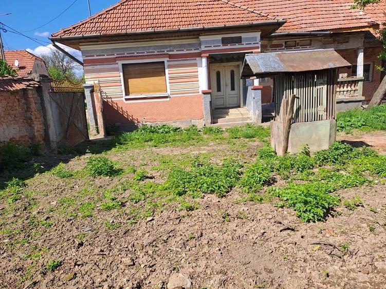 Casă cu 4 camere cu Teren 2000 Mp în Gura Văii