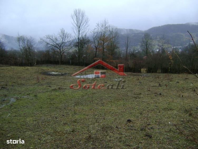 Teren de vanzare in Provita de jos - 9