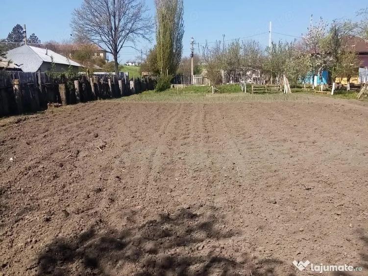 Teren de 700 mp, în Băcălești