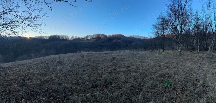 Teren de 4000 mp, în Gurguiata