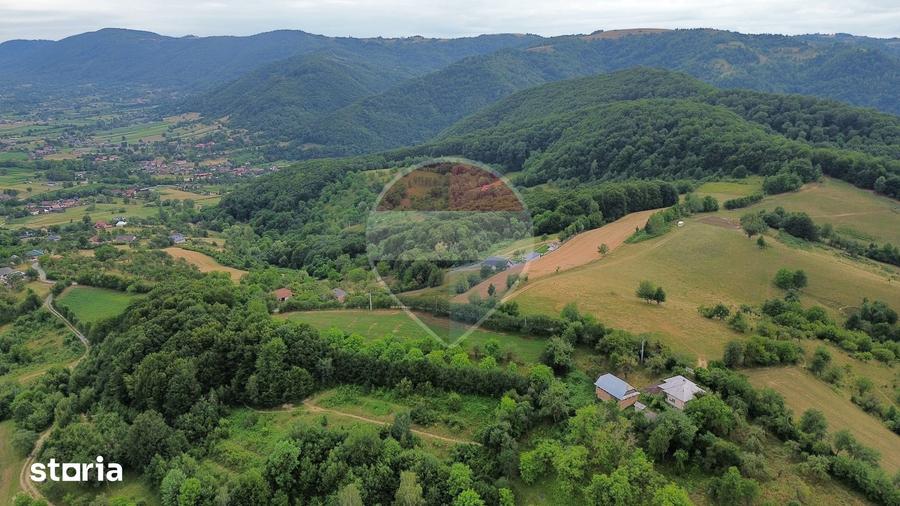 Teren de 5600 mp, în Copalnic