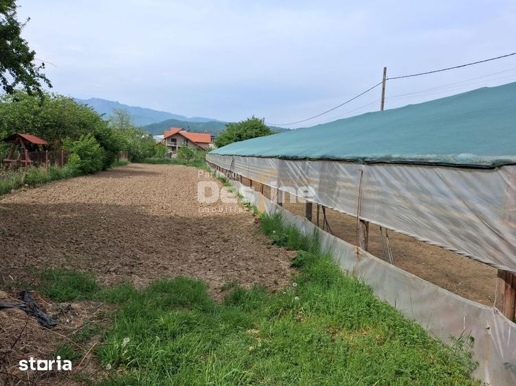 Loturi teren intravilan in Daesti, cu utilitati complete, solar si gar - 10