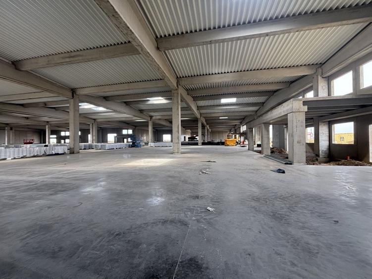 Spațiu industrial, de 523 mp, în Sânandrei