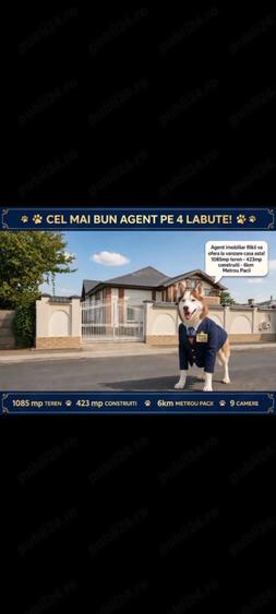 Casă cu 6 camere cu Teren 1082 Mp în Dragomirești-Deal