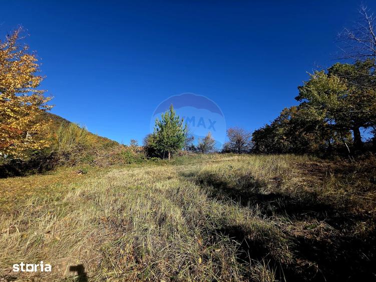Casă cu 5 camere cu Teren 2700 Mp în Alexandru cel Bun