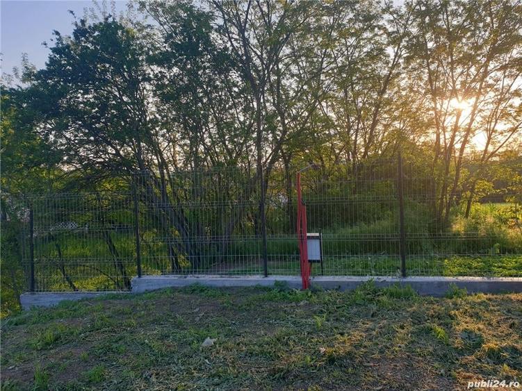 Teren de 6000 mp, în Comana