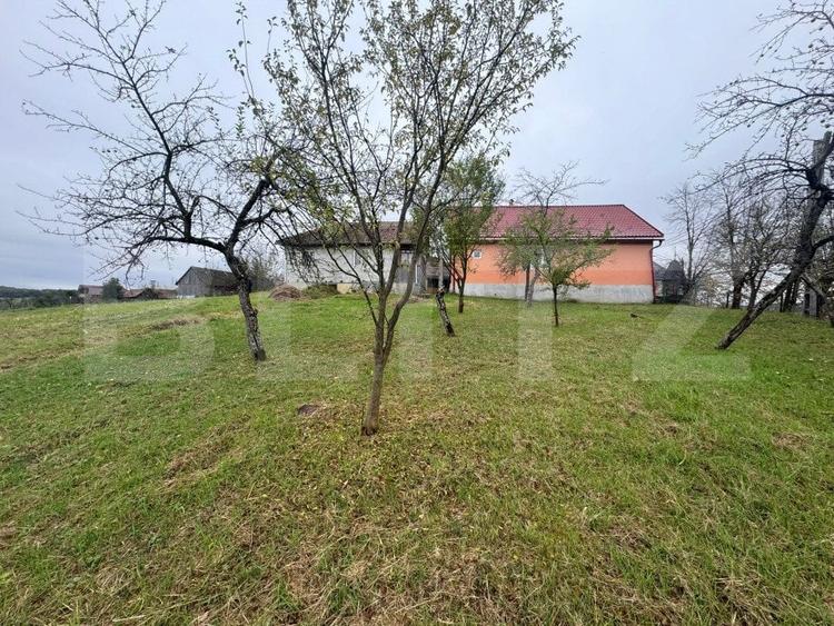 Casă individuală cu 5 camere cu Teren 3300 Mp în Sud