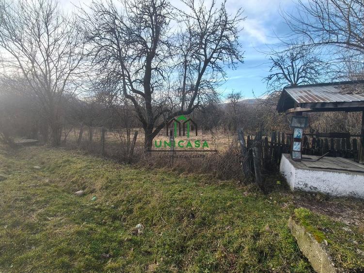 Teren Construcții intravilan de 813 mp, în Dăești