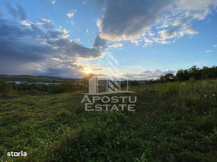 Spațiu comercial, în Baldovin