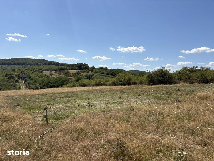 Teren de 500 mp, în Central