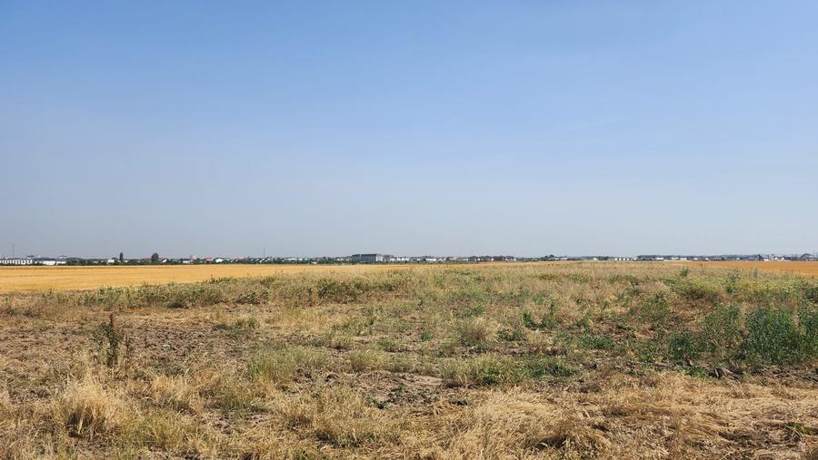 Teren Construcții intravilan de 2500 mp, în Chitila