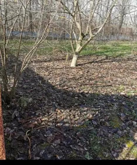 Teren de 590 mp, în Braniște (Podari)