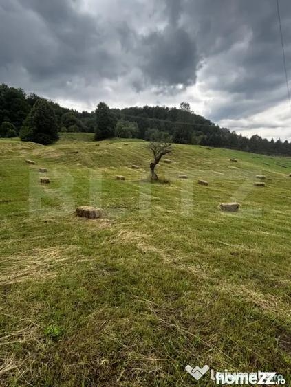 Teren intravilan, Buc?oaia - Frasin, 9000 mp - 3