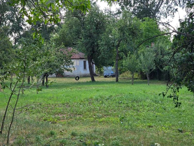 Teren Construcții intravilan de 3562 mp, în Ștrandului