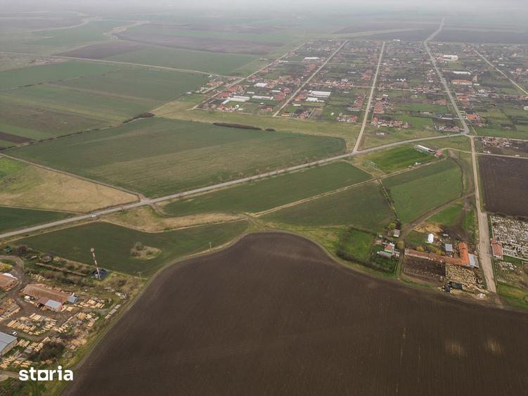 Teren de 7000 mp, în Sântana
