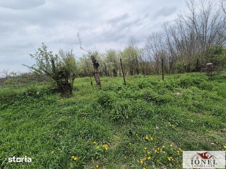 Teren de 1295 mp, în Berghin