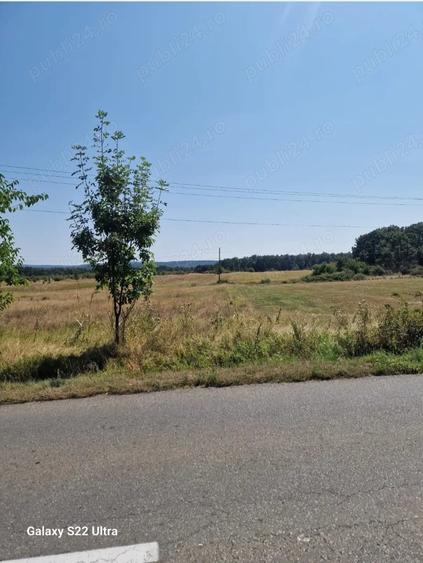 Teren de 12500 mp, în Central
