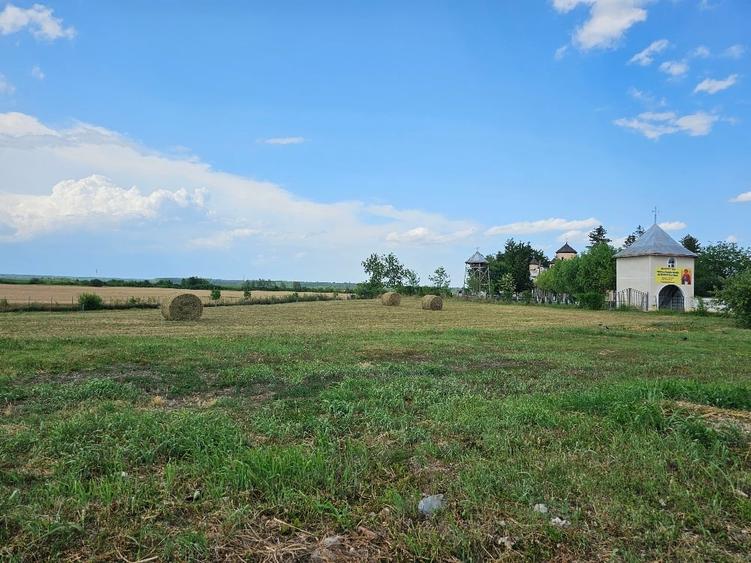 Casă cu 5 camere cu Teren 2800 Mp în Poienarii Burchii