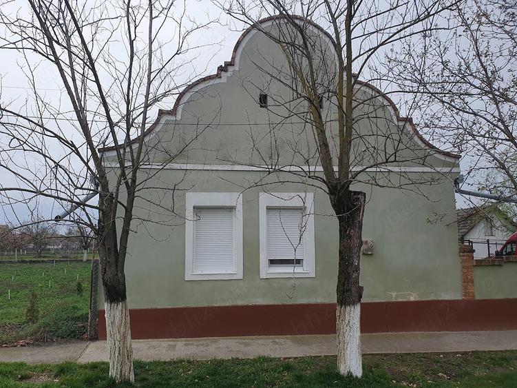 Casă cu 3 camere cu Teren 1750 Mp în Pustiniș