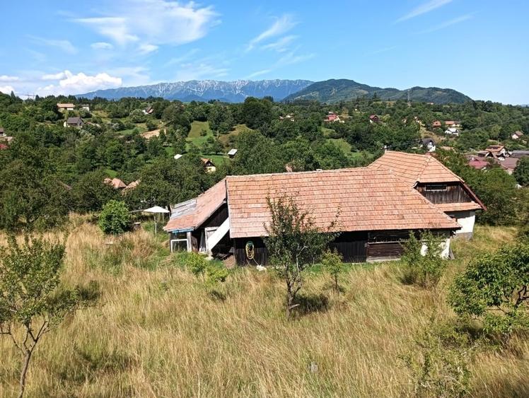 Teren Construcții intravilan de 3981 mp, în Bran
