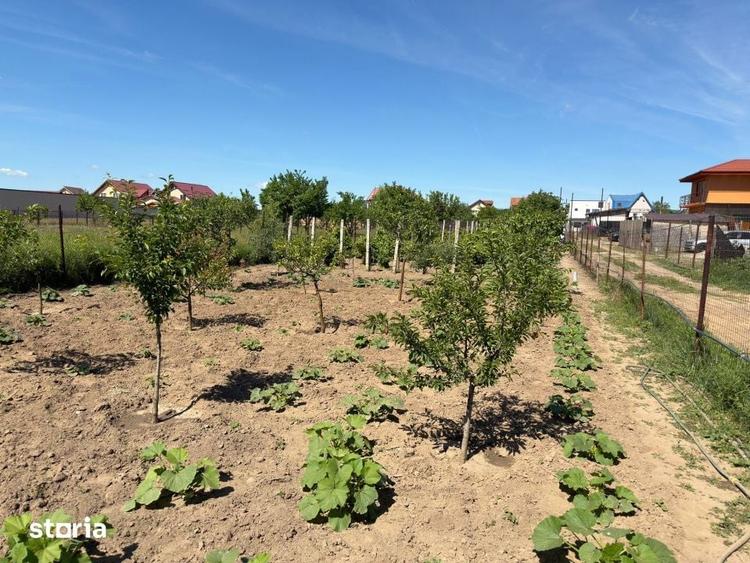 Teren de 1000 mp, în Cernele