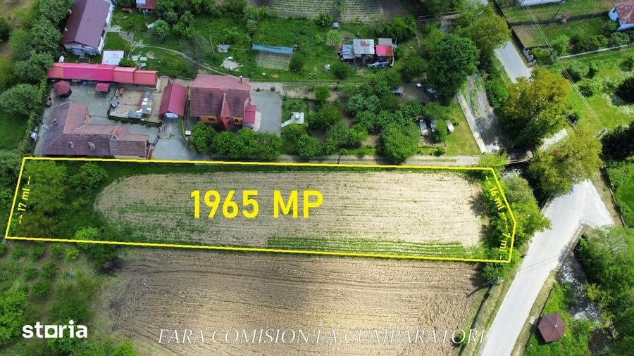 Teren de 1965 mp, în Păușești
