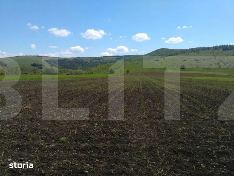 Teren de 48100 mp, în Petros