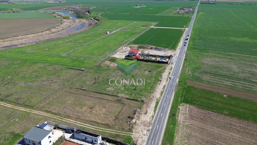 Teren Construcții intravilan de 2010 mp, în Frumușani