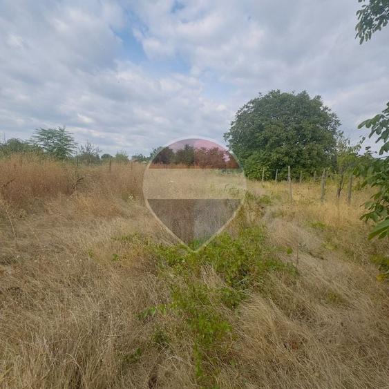Teren Construcții intravilan de 700 mp, în Coșoveni