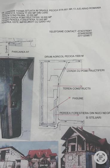 Teren de 77000 mp, în Central