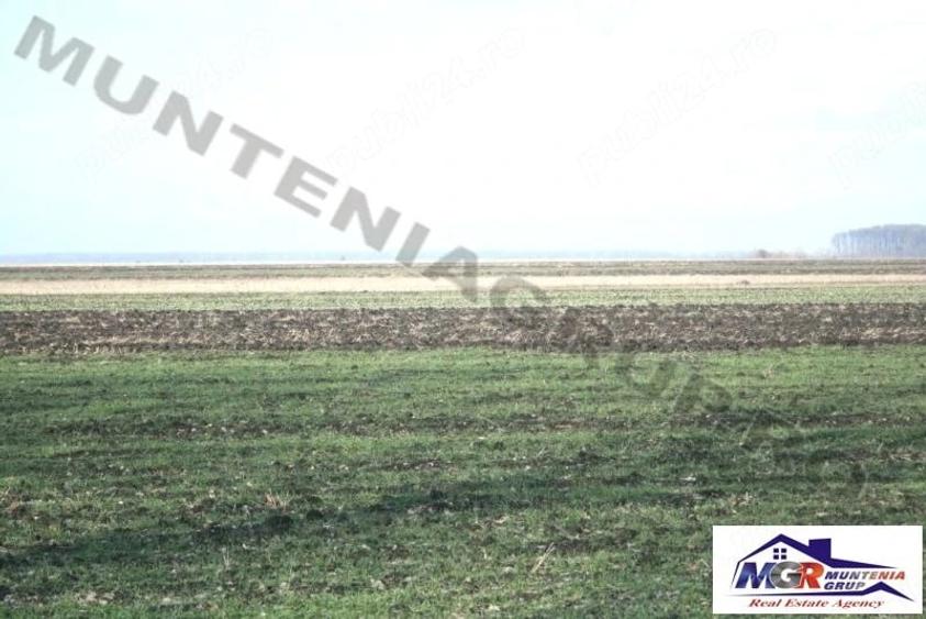 Teren de 20000 mp, în Afumați