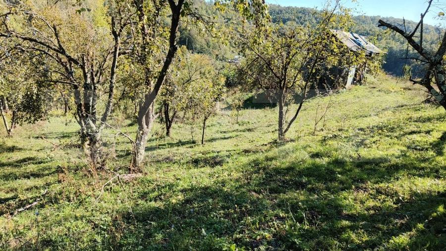 Teren cu priveliște superba , livadă și potențial căsuțe de vacanță - 17