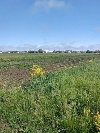 Teren de 26 mp, în Vicovu de Sus