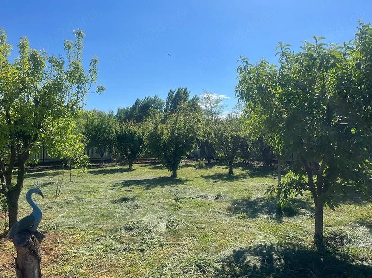 Casă cu Teren 1457 Mp în Traian