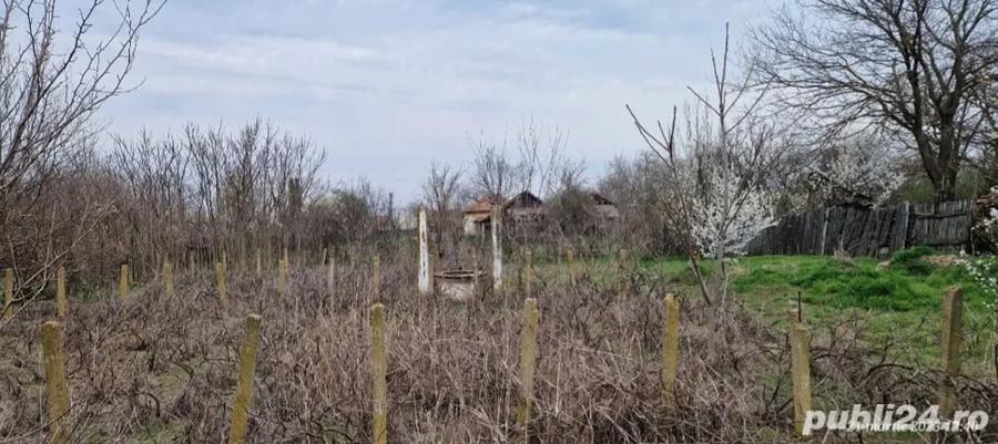 Teren de 1150 mp, în Goicea