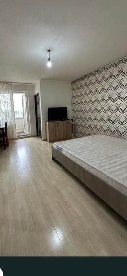 Garsoniera Tractorul- langa Coresi Mall- Pet Friendly  - 5