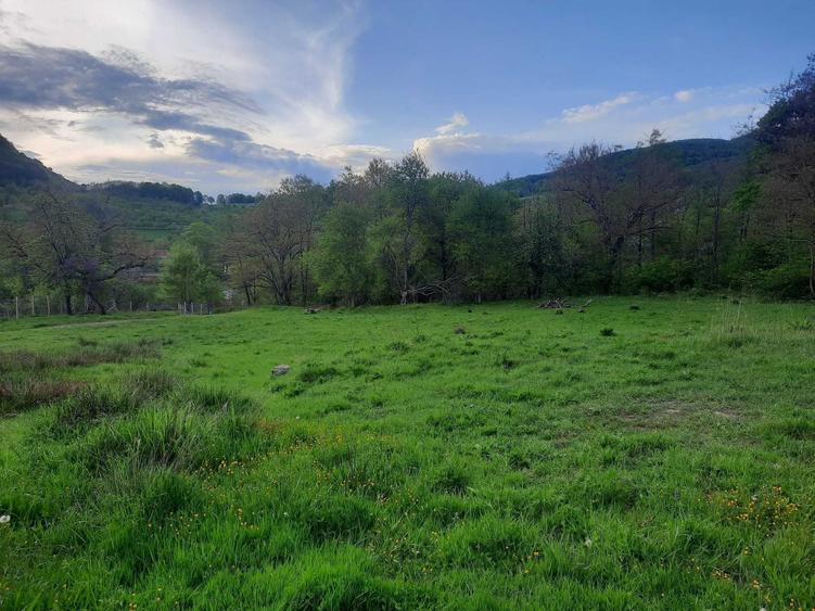 Teren de 7038 mp, în Hărțăgani