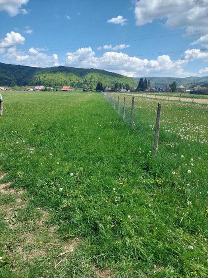 Teren de 2630 mp, în Vama Buzăului