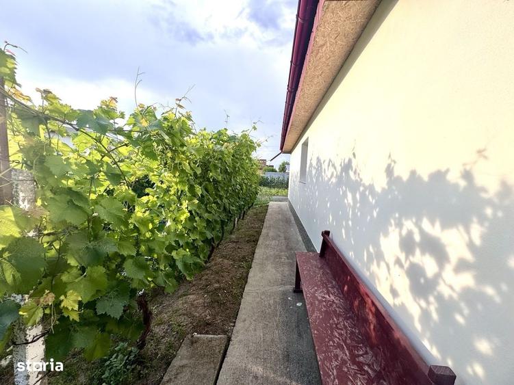 Casă cu 3 camere în Tulucești