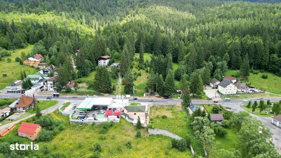 Teren de 9000 mp, în Malul Ursului