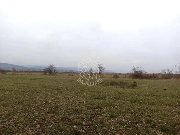 Teren agricol extravilan de 19611 mp, în Livezile