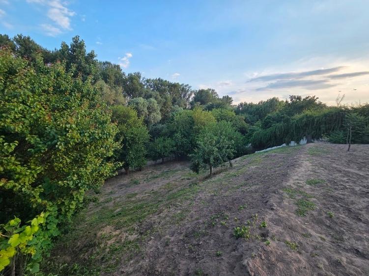 Teren Construcții intravilan de 1600 mp, în Islaz