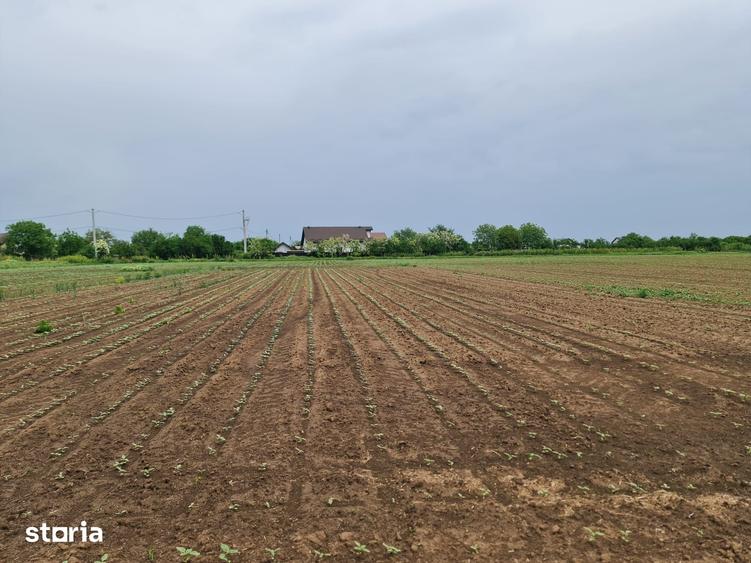 Teren de 1500 mp, în Moara Vlăsiei
